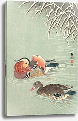 Постер Косон Охара Mandarin ducks