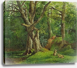 Постер Херкомер Хьюберт Woodland Scene with Rabbits, 1862