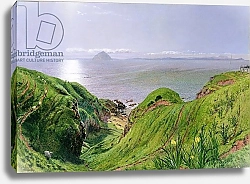 Постер Скотт Уильям Белл A View of Ailsa Craig and the Isle of Arran, 1860