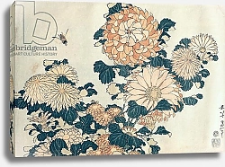 Постер Хокусай Кацушика Chrysanthemums