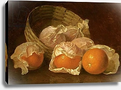 Постер Стэннард Элоиза A Basket of Oranges, 1895