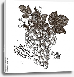 Постер Иллюстрация с гроздью белого винограда
