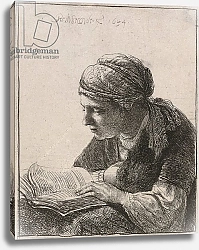 Постер Рембрандт (Rembrandt) Woman Reading, 1634