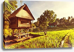 Постер Домик на рисовых полях Индонезии
