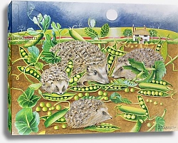 Постер Уоттс Э. (совр) Hedgehogs with Peas beside a Poppy field at night, 1994