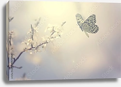 Постер Постер с бабочкой в пастельных тонах