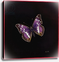 Постер Клейзер Амелия (совр) Purple emperor butterfly, 2000