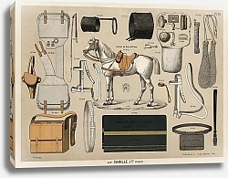 Постер Хромолитография лошадей со старинным оборудованием для верховой езды (1890), из антикварного каталога для верховой езды.