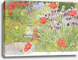Постер Бентон Линда (совр) Poppies and Irises near the Pond