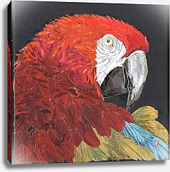 Постер Адамсон Кирсти (совр) Red Macaw Parrot