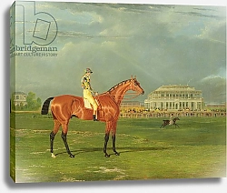 Постер Херринг Джон 'Memnon' with William Scott Up, 1825