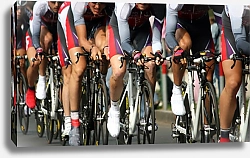 Постер Команда велосипедистов 3