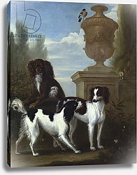 Постер Уоттон Джон Three Spaniels by an Urn in a Wooded Landscape