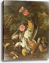 Постер Фит Ян Dead duck, Snipe, Finches and Other Dead Birds with Roses and Urn in a Wooded Landscape