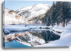 Постер Зеркальное озерцо в зимнем лесу