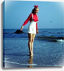 Постер Monroe, Marilyn 109