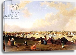 Постер Лэйн Фитц View of Baltimore, c.1850