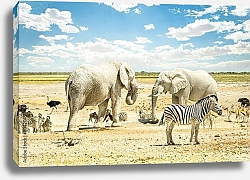 Постер Группа африканских животных на водопое
