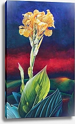 Постер Фердинандс Фрэнсис Yellow Canna Lily