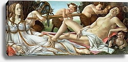 Постер Боттичелли Сандро (Sandro Botticelli) Venus and Mars, c.1485