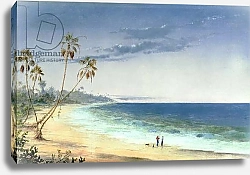 Постер Броунелл Чарльз Cuban Landscape, 1866