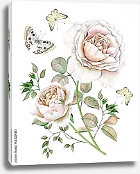 Постер Белые розы с бабочками