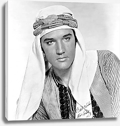 Постер Presley, Elvis (Harum Scarum)