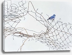 Постер Тейлор Карл (совр) Fence and Bird, 2008