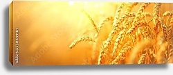 Постер Пшеничное поле с золотыми колосьями