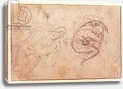 Постер Микеланджело (Michelangelo Buonarroti) Study of a Crouching Figure