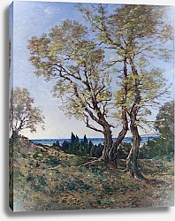 Постер Харпигнес Генри Джозеф Оливковые деревья в Ментоне