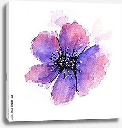 Постер Акварельный лиловый цветок