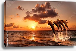Постер Красивый закат с дельфинами
