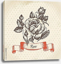 Постер Иллюстрация с розой и бутонами