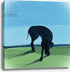 Постер Уэйс Марджори (совр) Joe's Black Dog, 1996