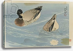 Постер Хасигути Гоё Ducks, Taisho era, August 1920