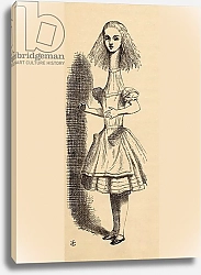 Постер Тениель Джон Alice grows taller, from 'Alice's Adventures in Wonderland' by Lewis Carroll, published 1891