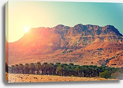 Постер Иудейская пустыня в Израиле на закате