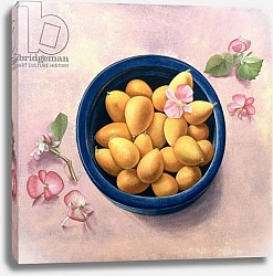 Постер Ливайн Томар Kumquats and Blossoms, 1986