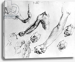 Постер Дюрер Альбрехт Studies for the arm of Adam, 1504