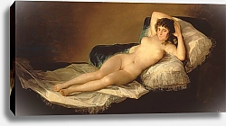 Постер Гойя Франсиско (Francisco de Goya) The Naked Maja, c.1800