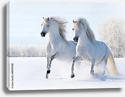 Постер Лошади на снегу
