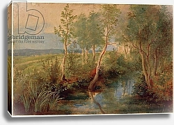 Постер Рубенс Петер (Pieter Paul Rubens) Landscape 4