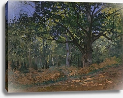 Постер Моне Клод (Claude Monet) The Bodmer Oak, Fontainebleau Forest, 1865