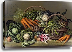 Постер Клейзер Амелия (совр) Basket of Vegetables and Radishes, 1995