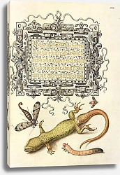 Постер Хофнагель Йорис Scorpionfly, Insect, Lizard, and Insect Larva