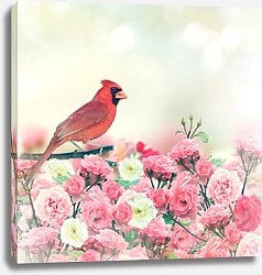 Постер Красный кардинал в розовом саду