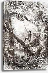 Постер Школа: Испанская 19в. Native Indians capturing a tree sloth on the Oyapock or Oiapoque River, South America