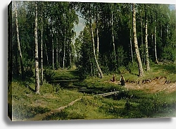 Постер Шишкин Иван In The Birch Tree Forest, 1883