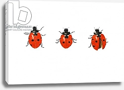 Постер Графтон Эле (совр) Three ladybirds, 2013